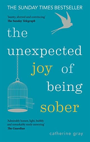 The Unexpected Joy of Being Sober eBook