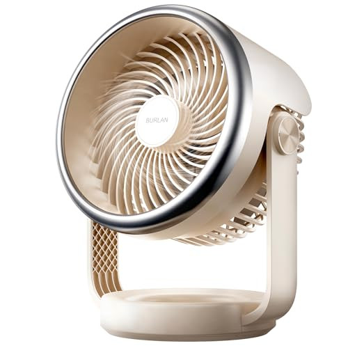 BURLAN 10" Desk Fan