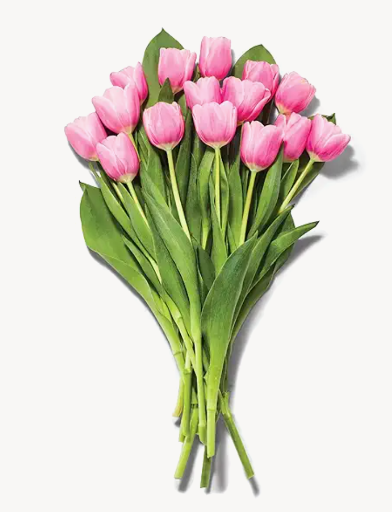 Prime Members: 15-Stem Tulips (YMMV) Deal