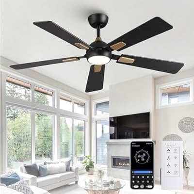 CalorHoga 52 Inch Ceiling Fan with Lights and Remote Deal