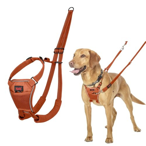 HALTI No Pull Harness for Medium Dogs (Size M, Burnt Orange)