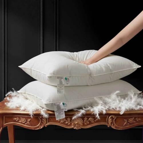 Goose Down Feather Pillows 2-Pack, King Size