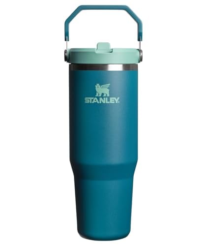 STANLEY IceFlow 2.0 Flip Straw Tumbler 30-Oz Deal