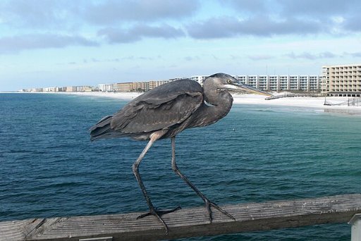 Roundtrip Austin to Destin/Ft Walton Beach FL Nonstop Airfares