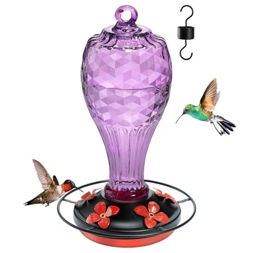 Jarkyfine 20 OZ Glass Hummingbird Feeders