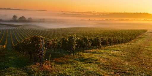 Tastes of Bordeaux: 10-Night Luxury River Cruise