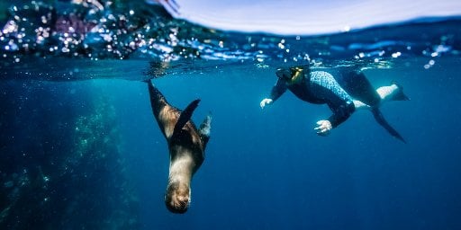 Ecuador & Galapagos Island-Hopping Tour Package with Flights Deal