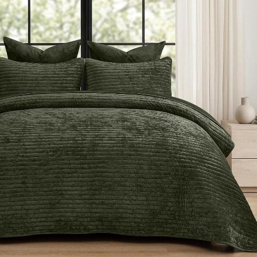 PHF Luxury Velvet Quilt Set (2-Piece Twin) Deal