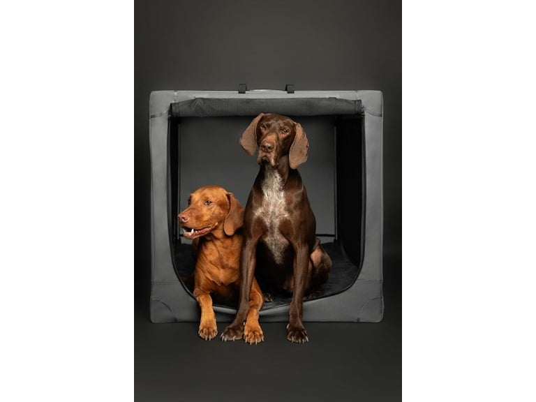 Noah & Paw Collapsible Travel Dog Crate w/ Pet Mat & 2 Storage Pockets Deal