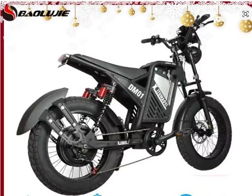 BAOLUJIE DM01 2000W 60V 30Ah Electric Bike 20" Fat Tire Deal