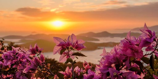 12-Night Eastern Caribbean Cruise from Fort Lauderdale