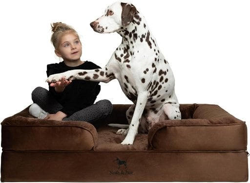 NOAH & PAW Sofa Bed 45"x35"x11" XL Orthopedic Memory Foam Cooling Gel (Velvet) Deal