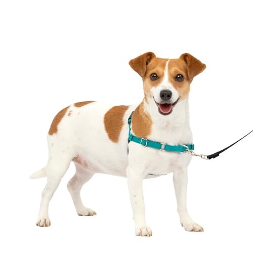 PetSafe Easy Walk Harness for Dogs
