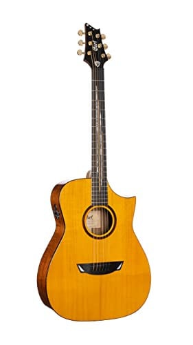 Cort 6 String Acoustic-Electric Guitar Full Deal