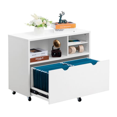 HollyHOME Lateral File Cabinet with Drawer (White)