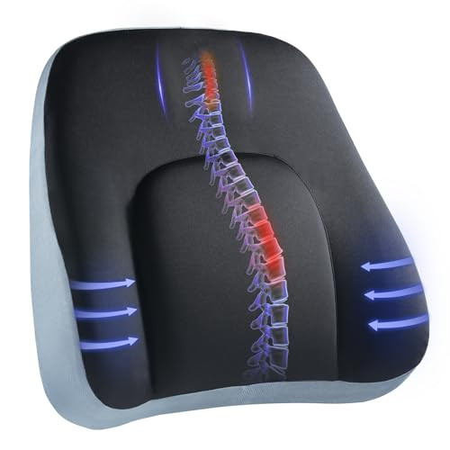 HUANUO Lumbar Support Pillow