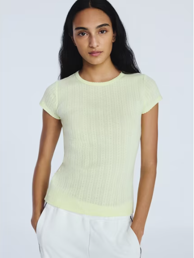 Free Assembly Women's Pointelle Mini Tee with Short Sleeves (XS-4X)