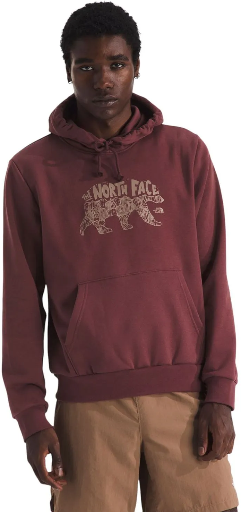 The North Face Men's Evolution Graphic Hoodie Deal