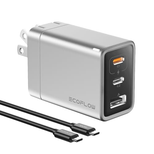 EF ECOFLOW Rapid 65W GaN USB C Charger
