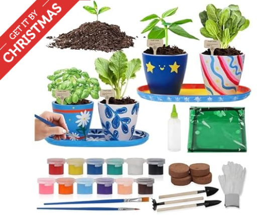 Paint & Plant Flower Gardening Kit w/4 Pots