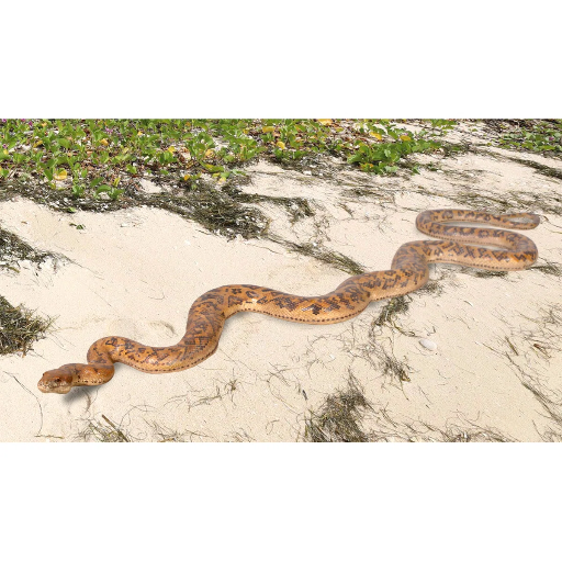 Realistic Python Sculpture 8.25' x 2'