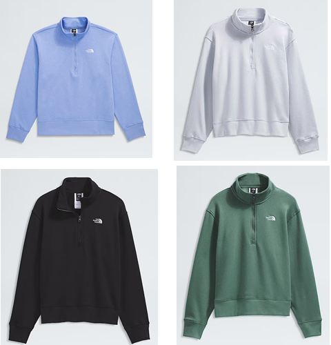 The North Face Women's Evolution 1/4 Zip Sweatshirt
