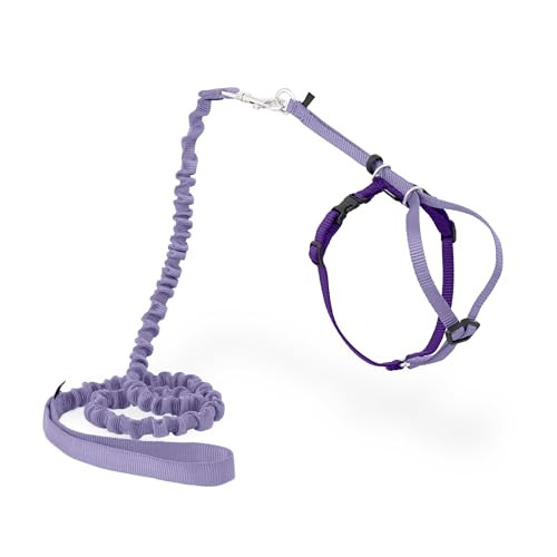 PetSafe Come with Me Kitty Cat Harness & Bungee Leash