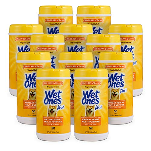 Wet Ones for Pets Antibacterial Dog Wipes Tropical Splash, 12-Pack 50-Count