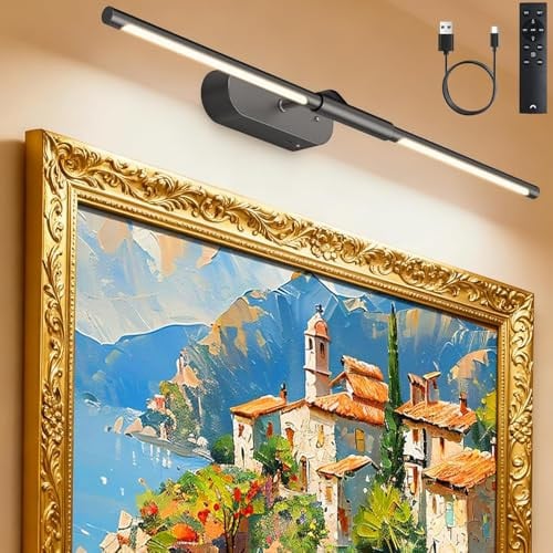 Glendan 24" Rechargeable Picture Light for Wall w/ Remote & Timer