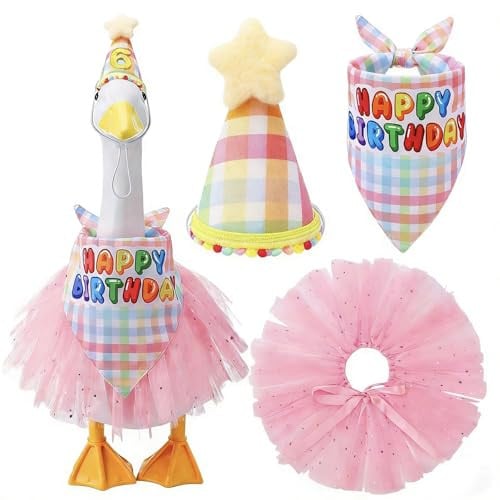 Birthday Porch Goose Outfit 4 Pcs