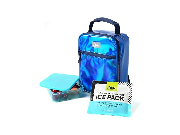 Arctic Zone Chrome Insulated Lunch Box with 210g Ice Pack & Sandwich Container Deal