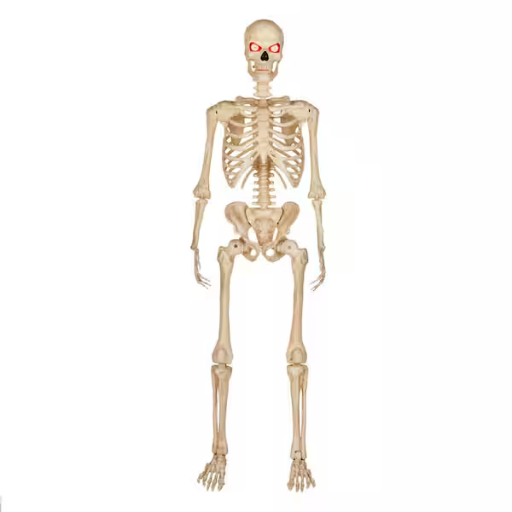 5 ft. LED Ultra Pose-N-Stay Skeleton