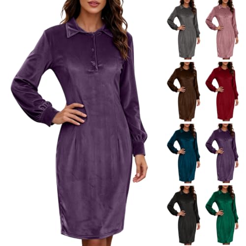 Women Long Sleeve Collared Velvet Dress