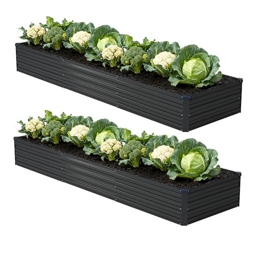 Foxlang 12x2x1ft (2 Pack) Galvanized Raised Garden Bed Deal