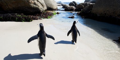 Kenya, South Africa & Botswana: 13-Night Vacation Package w/ Airfare