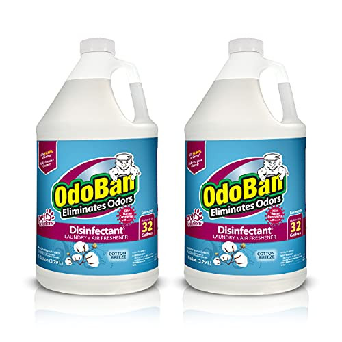 2-Pack 1-Gallon OdoBan Disinfectant Concentrate and Odor Eliminator