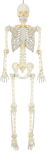 5-foot Poseable LED Illuminated Skeleton