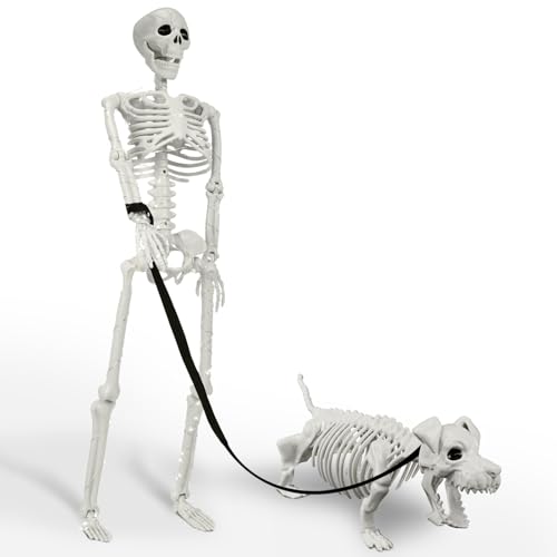 36" IDEAALS Lighted Human & Dog Skeleton Halloween Decoration Set