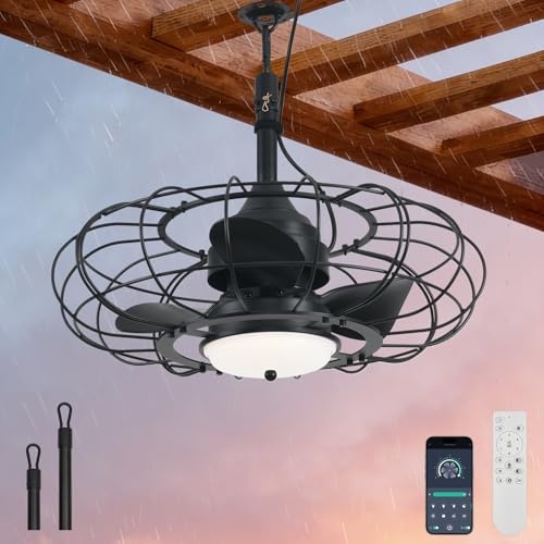 AHAWILL Outdoor Ceiling Fan with Light 20in Deal