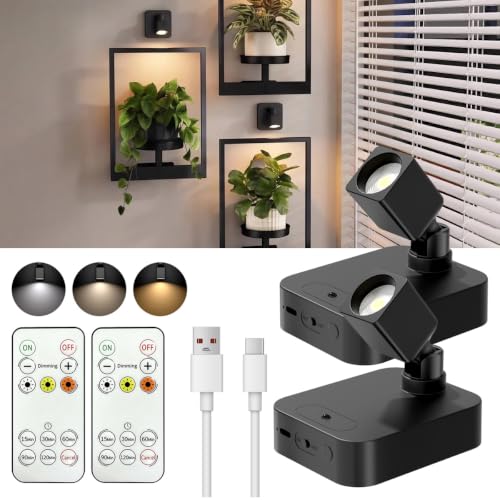 SZOKLED Rechargeable Picture Lights for Wall with Remote, 2-Pack