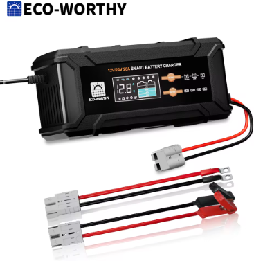 ECO-WORTHY 12V/24V 20A Lithium LifePO4 14.6V Smart Battery Charger & Maintainer
