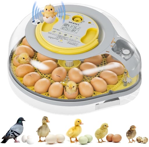 26 Egg Incubator for Hatching Eggs with AI Smart Voice Guidance