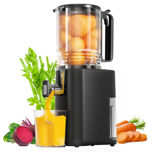 Cold Press Juicer