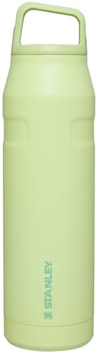Stanley IceFlow Cap & Carry 20oz Insulated Stainless Steel Water Bottle (Citron)