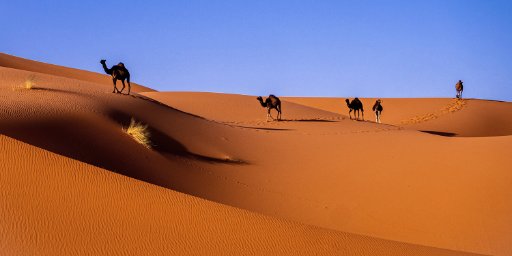 Morocco 2-Week Adventure Package incl. Sahara Desert