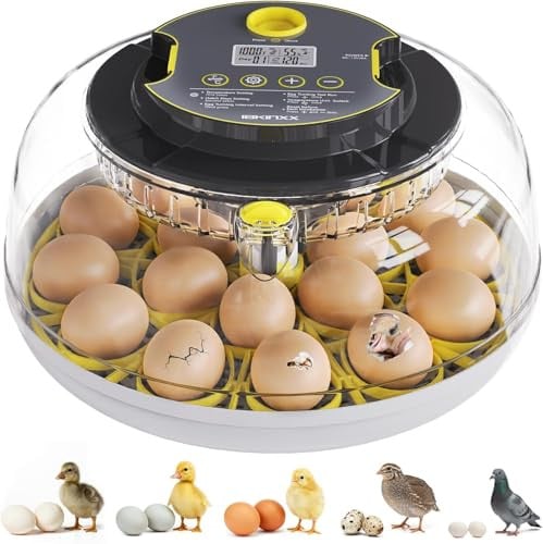 18-Egg Ibkinxx Automatic Egg Incubator