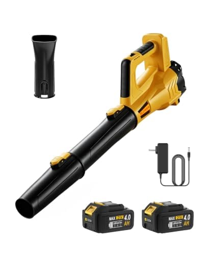 Cordless Leaf Blower Set Deal