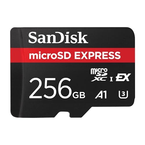 256GB SanDisk microSD Express Card