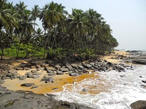 Roundtrip San Francisco to Liberia Costa Rica Flights on American or United Airlines