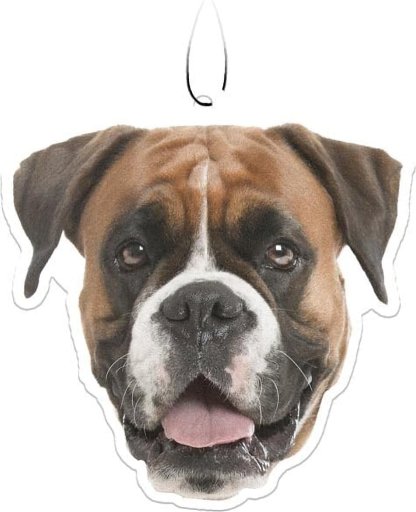 Spoontiques Boxer Air Freshener 3-Pack